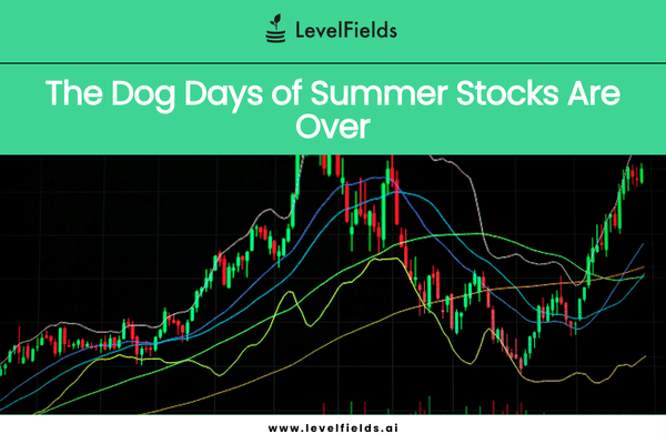 Nvidia, Tesla, and Bitcoin surge as inflation cools and consumer sentiment improves, while Google lags after an antitrust loss.