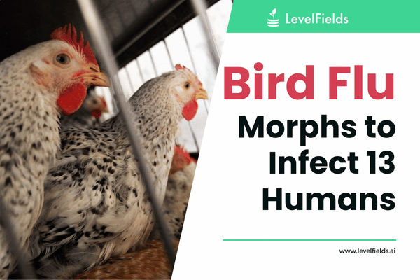 U.S. bird flu outbreaks in 14 states have led to 14 human cases, prompting Moderna and Pfizer to develop vaccines.