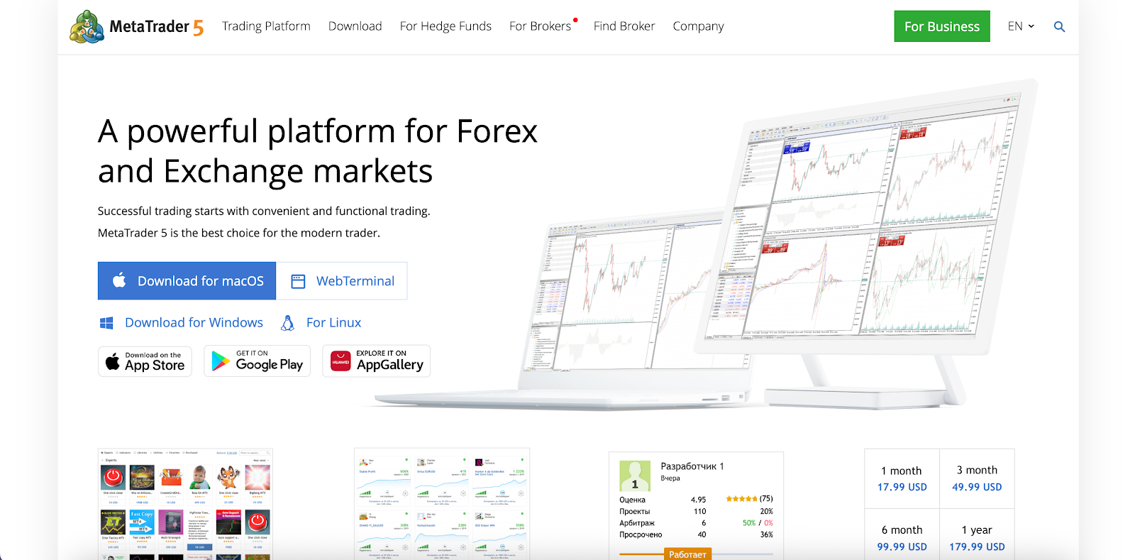 MetaTrader 5
