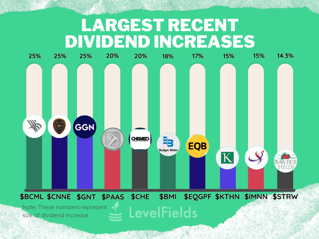 August 2025 dividend increases highlight strong balance sheets with double digit hikes across banking healthcare real estate and natural resources.