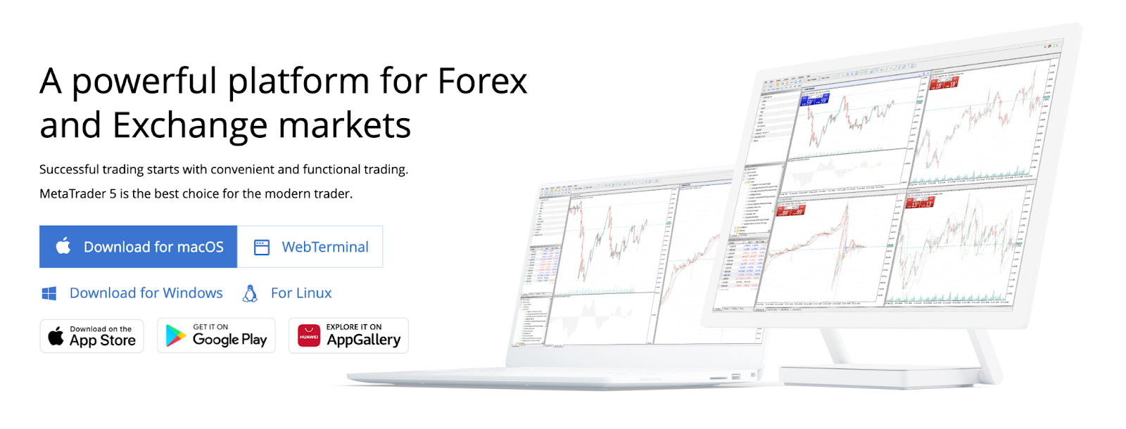 MetaTrader 5