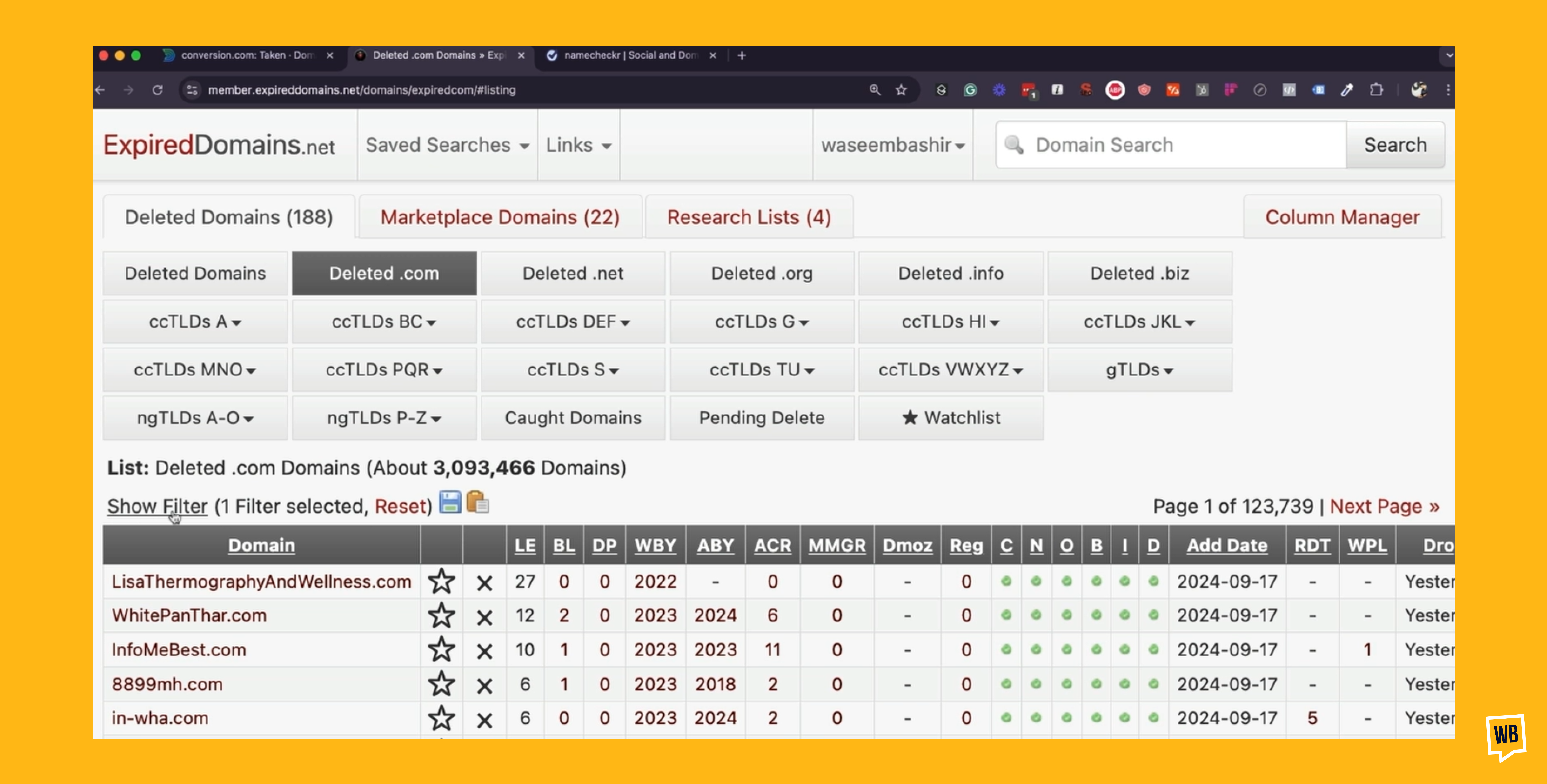 Exploring Expired Domains