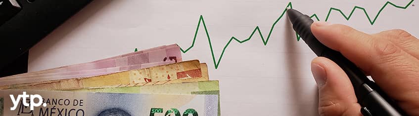 joven analiza opciones para ahorrar o invertir dinero