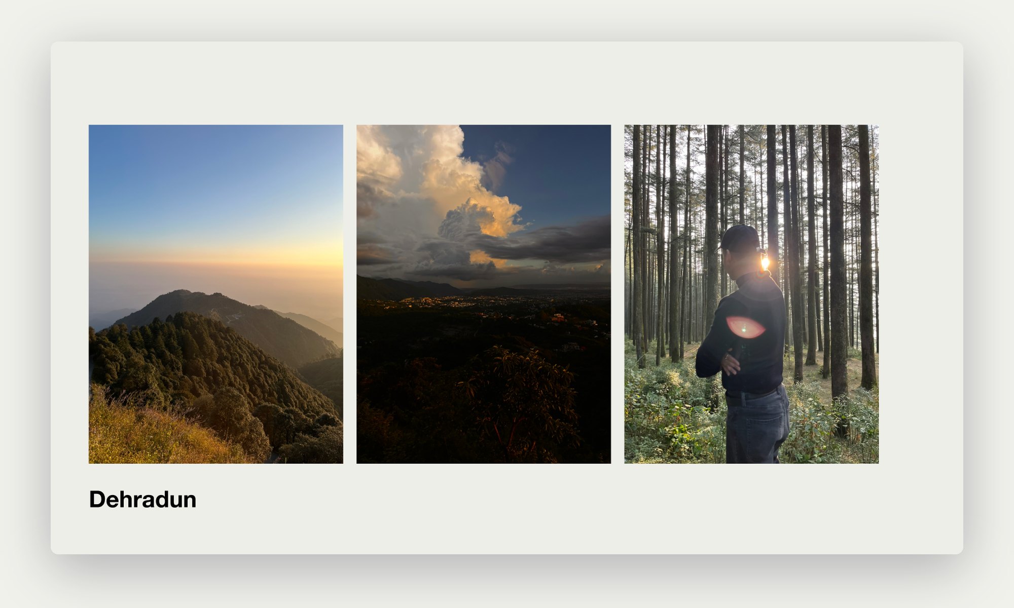 Dehradun landscapes at dusk and in the pine forest