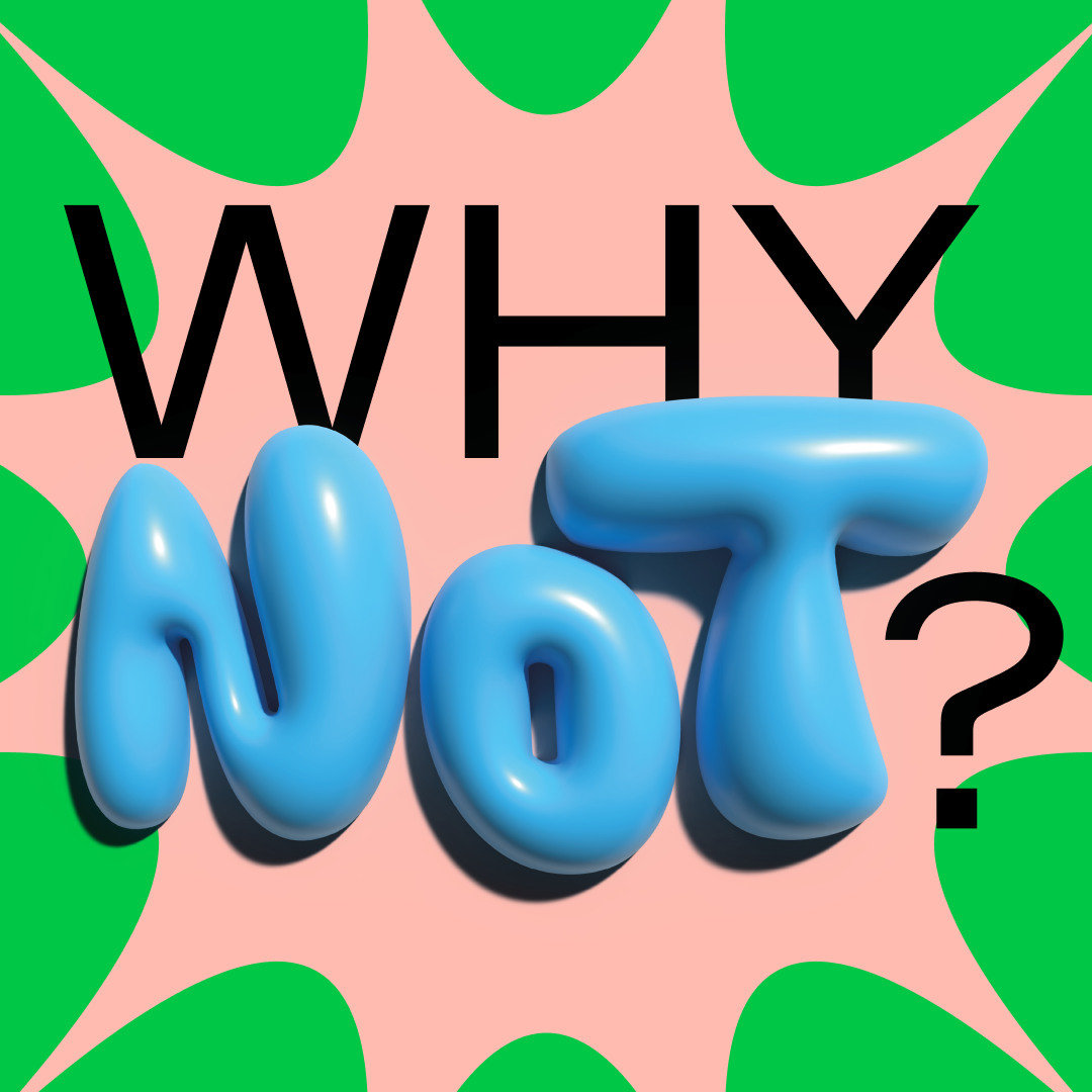 why not party poster