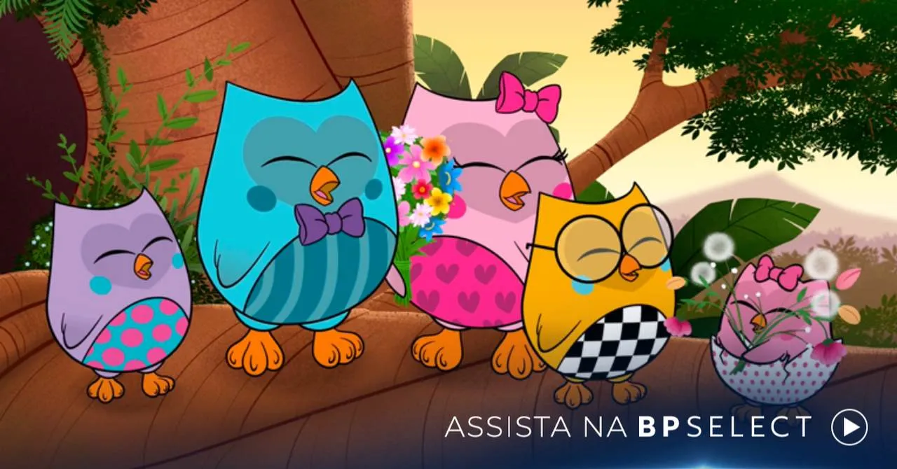 Bubu e as corujinhas - desenhos educativos infantis