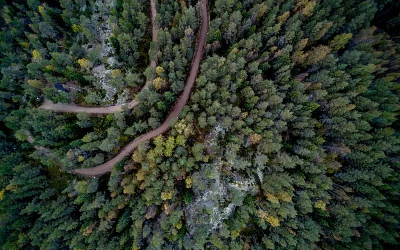 Para se manter aquecida, Finlândia terá que importar biomassa - Europeanway
