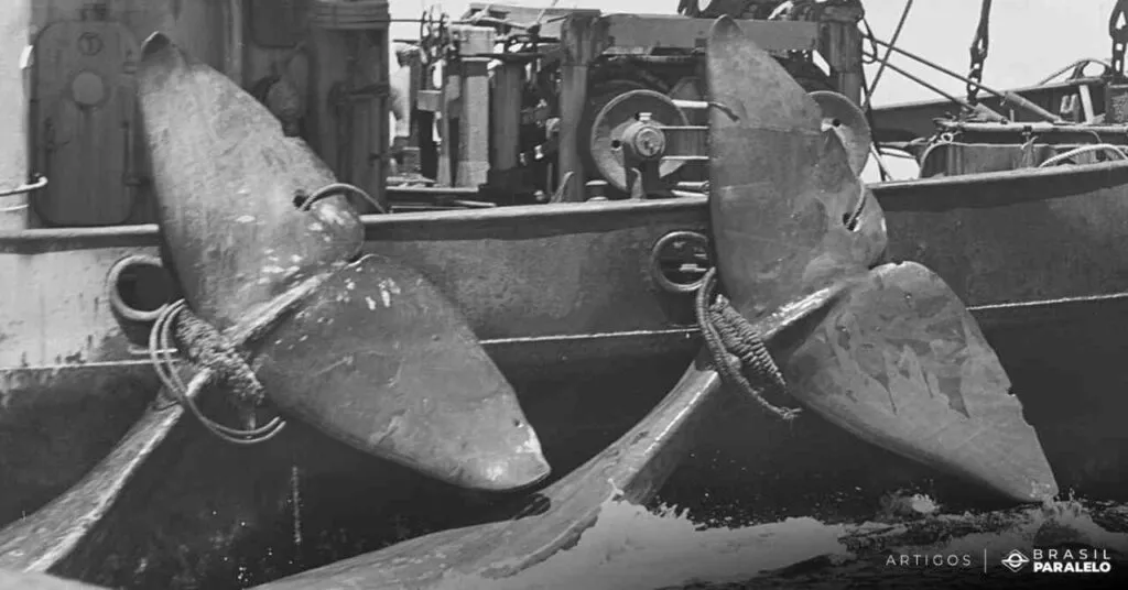 Campanha-da-historia-do-Greenpeace-de-protecao-as-baleias