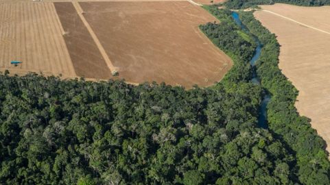 Licenciamento ambiental