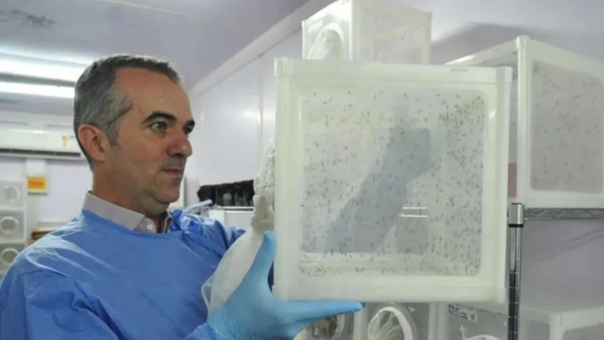 Luciano Moreira: cientista entre 10 mais influentes do mundo