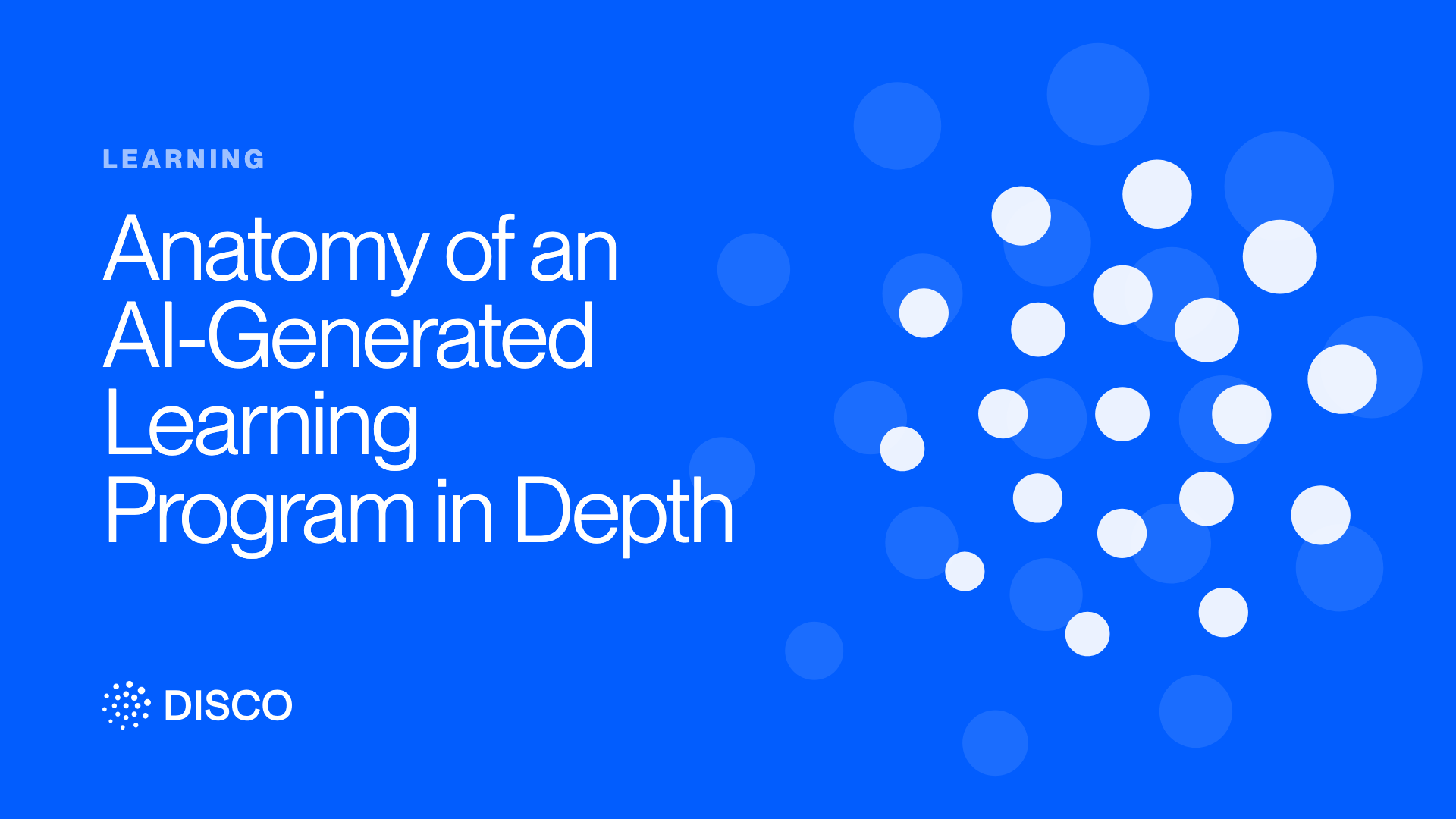 Anatomy of an AI-Generated Learning Program in Depth