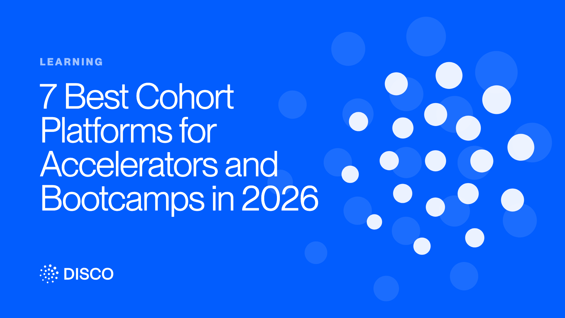 7 Best Cohort Platforms for Accelerators and Bootcamps in 2026