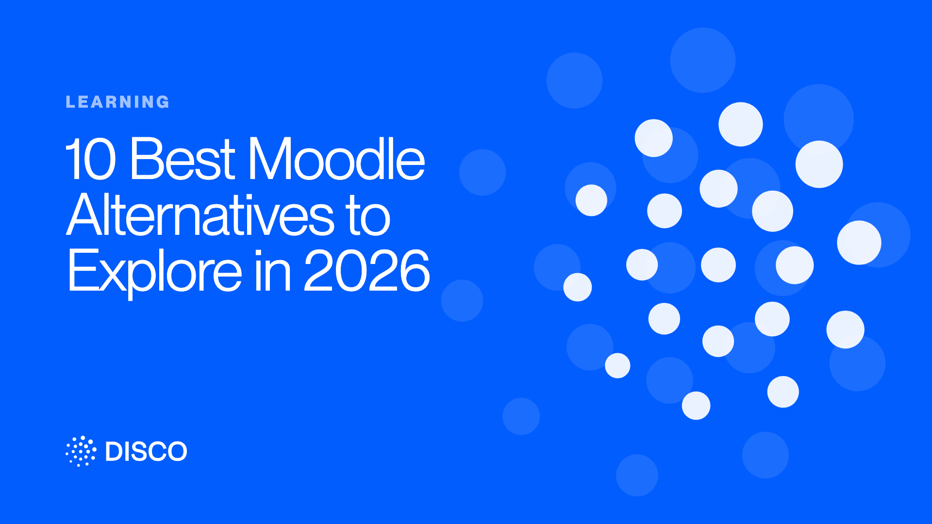 10 Best Moodle Alternatives to Explore in 2026
