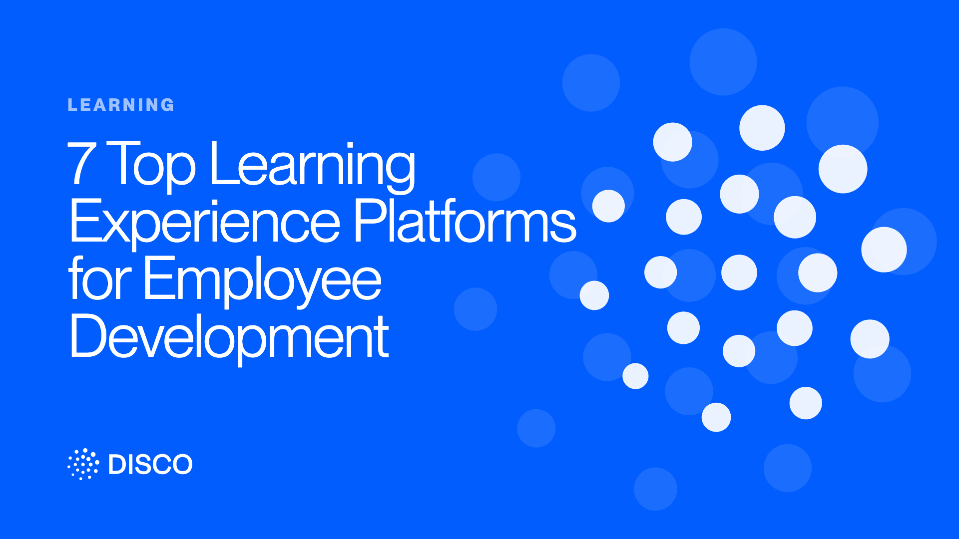 7 Top Learning Experience Platforms for Employee Development