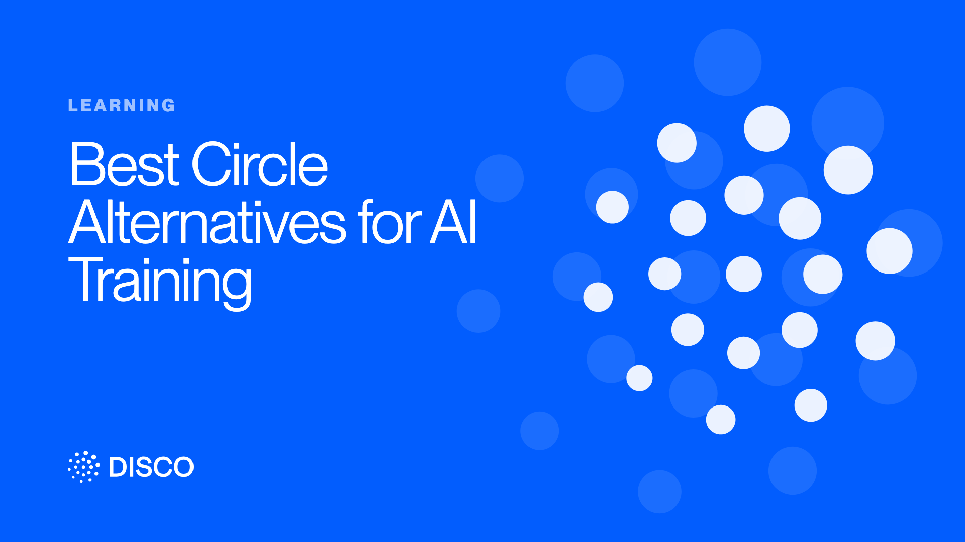 Best Circle Alternatives for AI Training