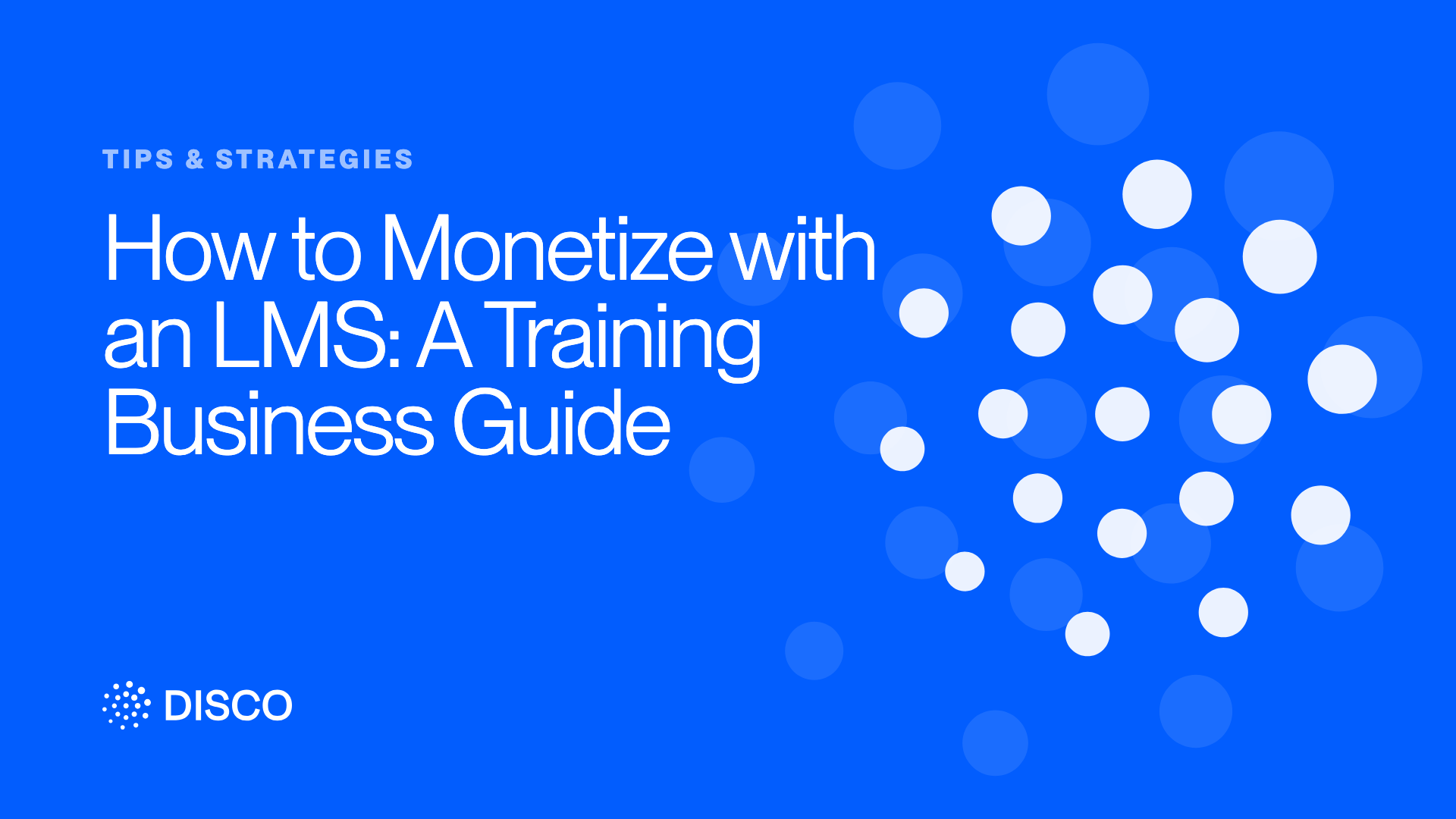 How to Monetize with an LMS: A Training Business Guide