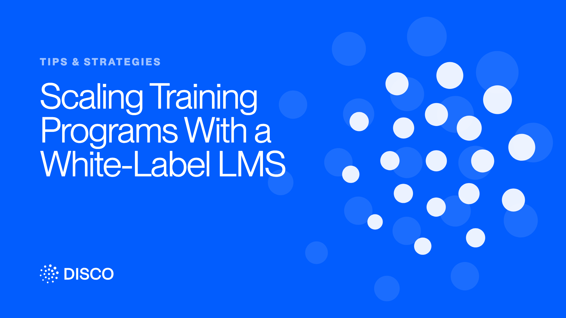 Scaling Training Programs With a White-Label LMS