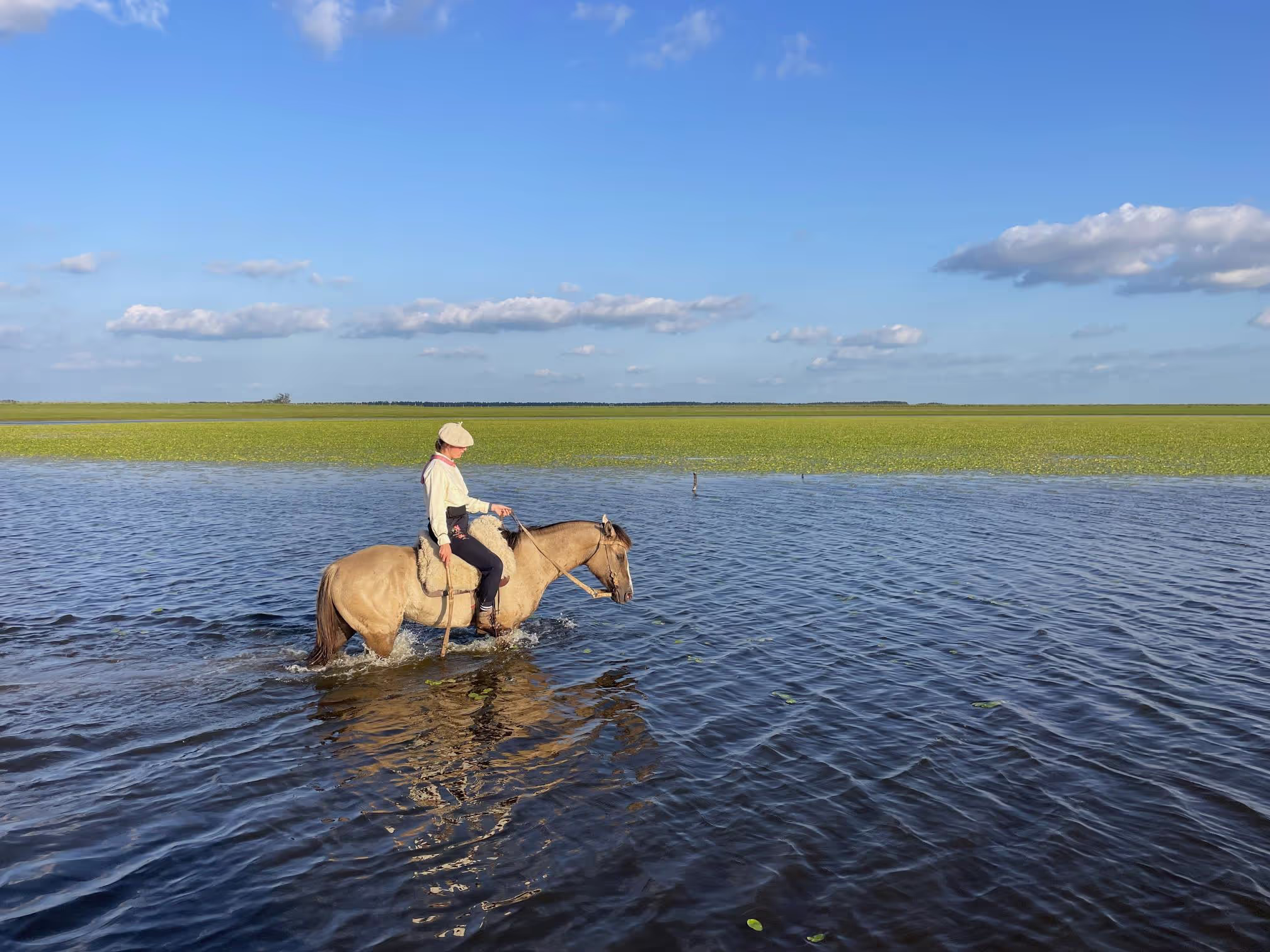 Cowgirl riding her golden horse through a big river covered in waterlillies