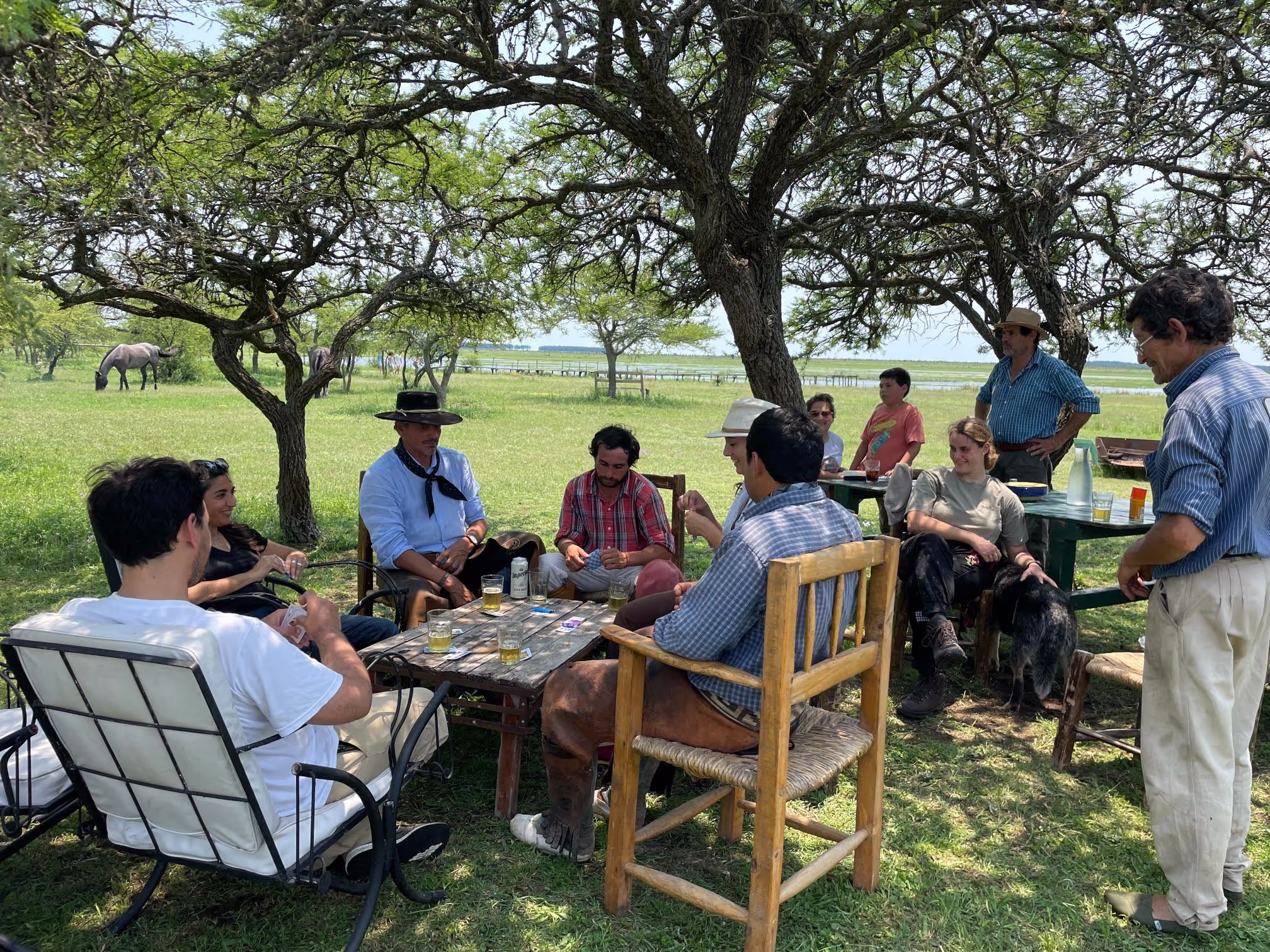People playing cards and drinking beer at a table in a green field with horses in it