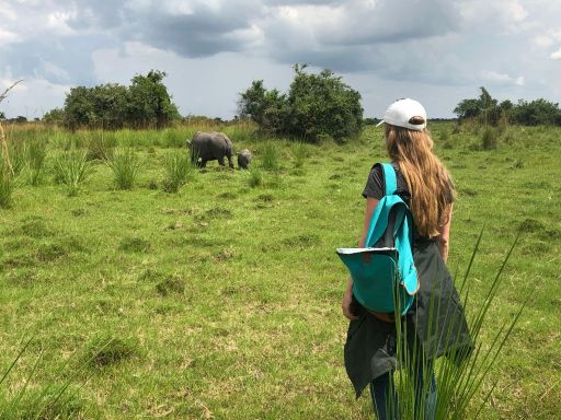 Rhino sighting while volunteering in Uganda