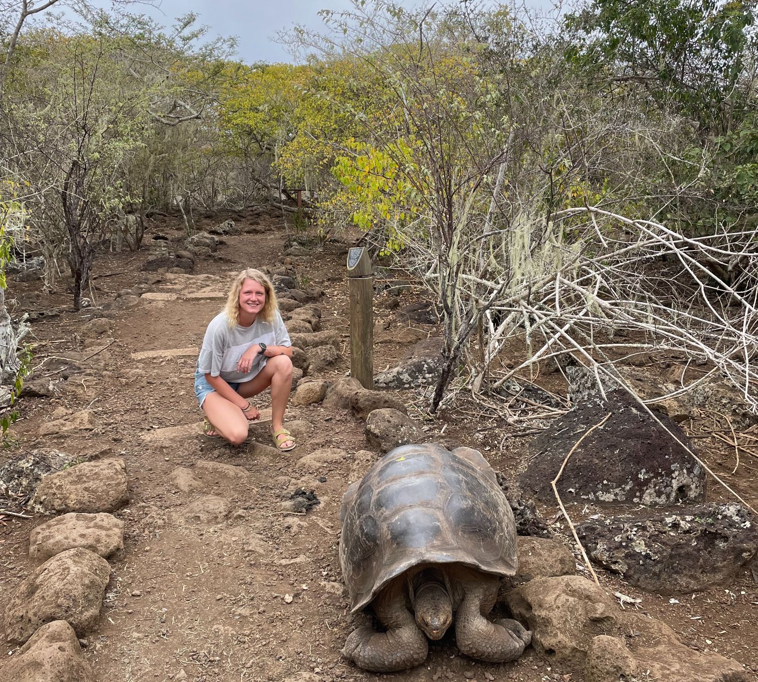 Backpacker and a giant tortoise on the Galapagos islands