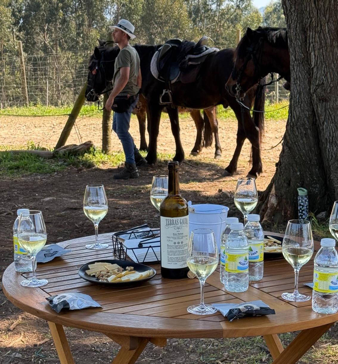 Table full of wine and snacks for wine tasting, under a tree in the shade, with horses standing in the background