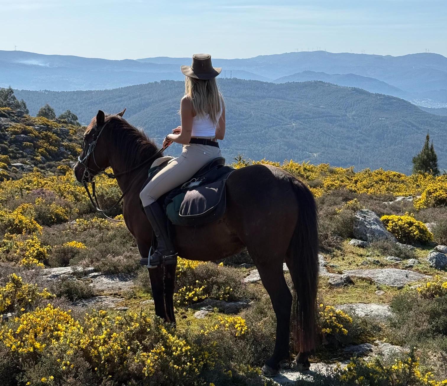 Woman on black horse, standing in a field of yellow flowers in the mountains, overlooking mountains full of trees on a sunny day 