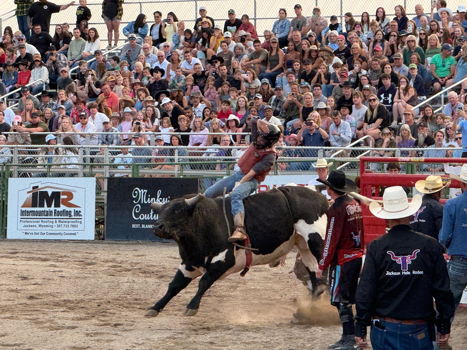 Bull riding at the Jackson Hole rodeo at sunset