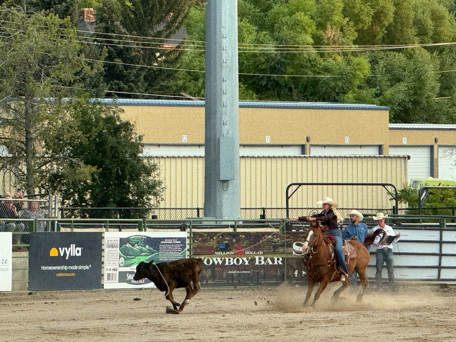 Cowgirl on chestnut horse roping a calf in the arena
