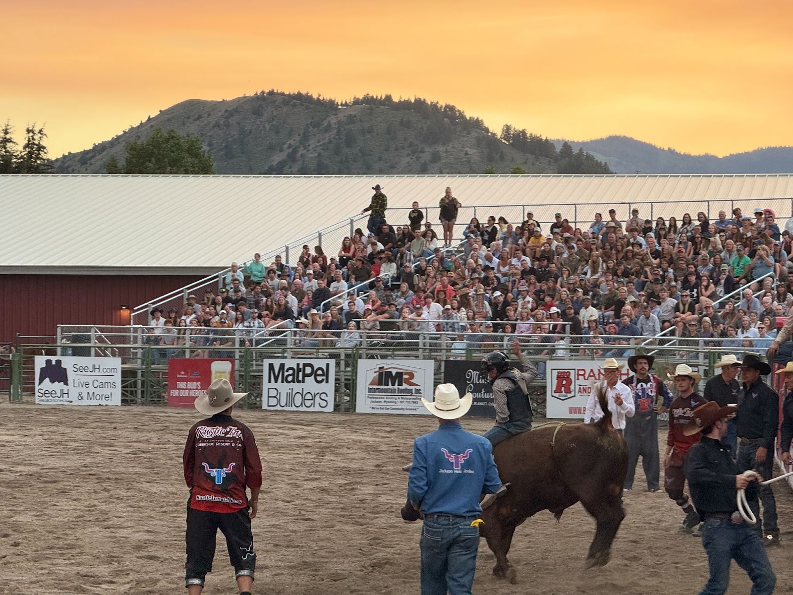 Bull riding at the Jackson Hole rodeo at sunset