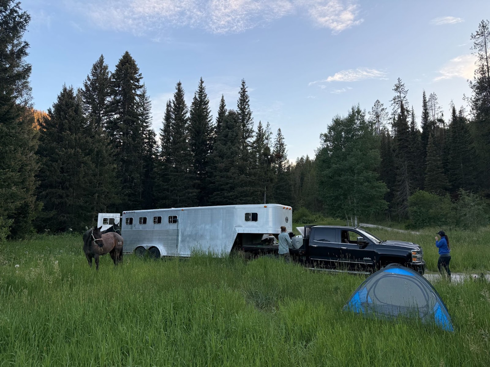 Camp setup with tent, horses and horse trailer