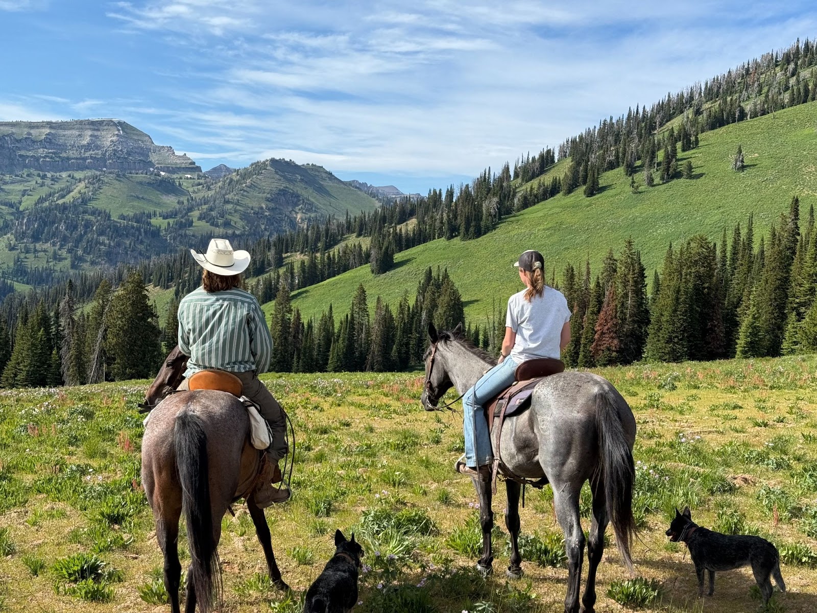 Cowboy and cowgirl resting on their horses in a grass field overlooking the mountains on a sunny day