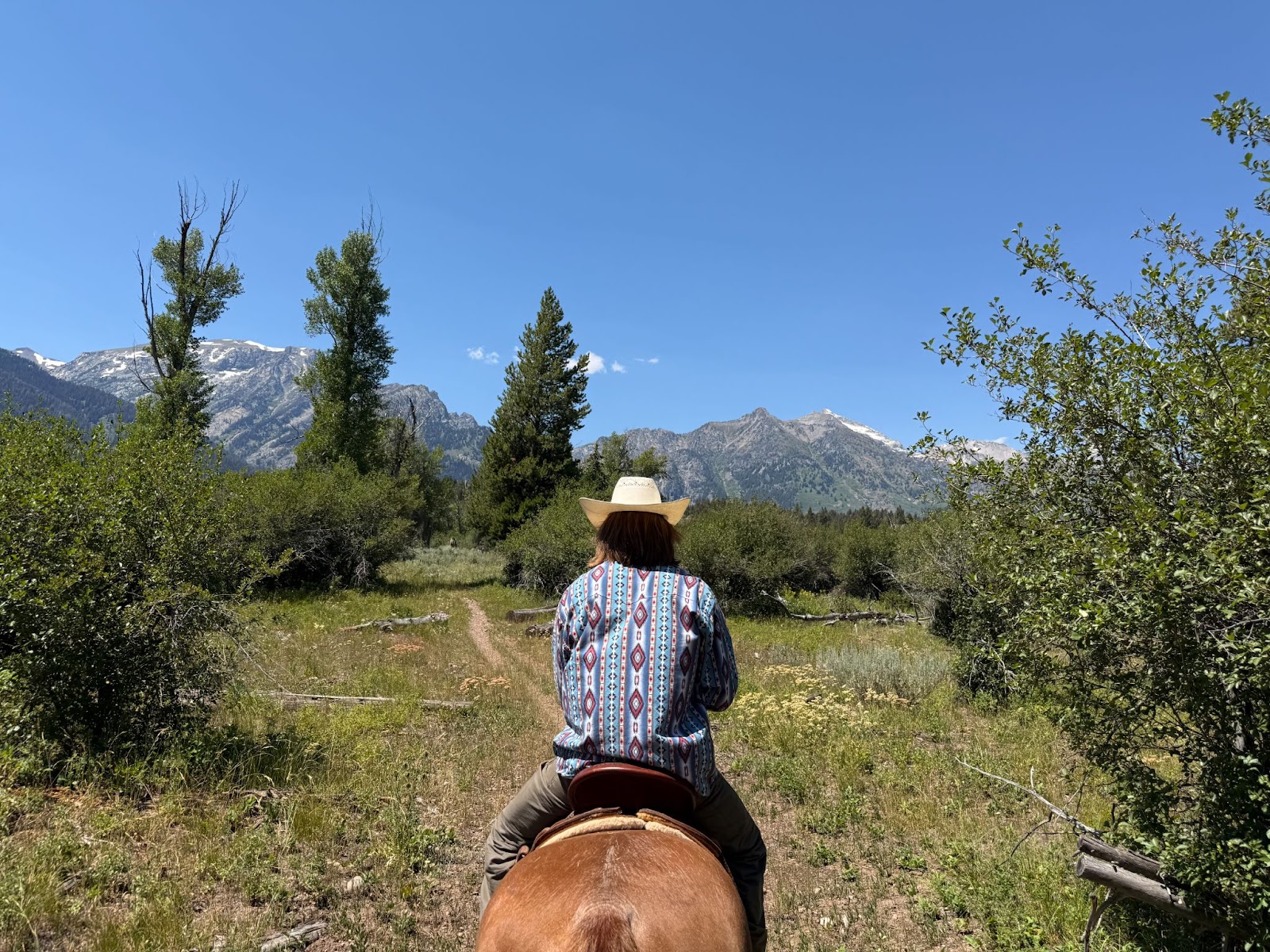 Riding horses through the Grand Tetons National Park