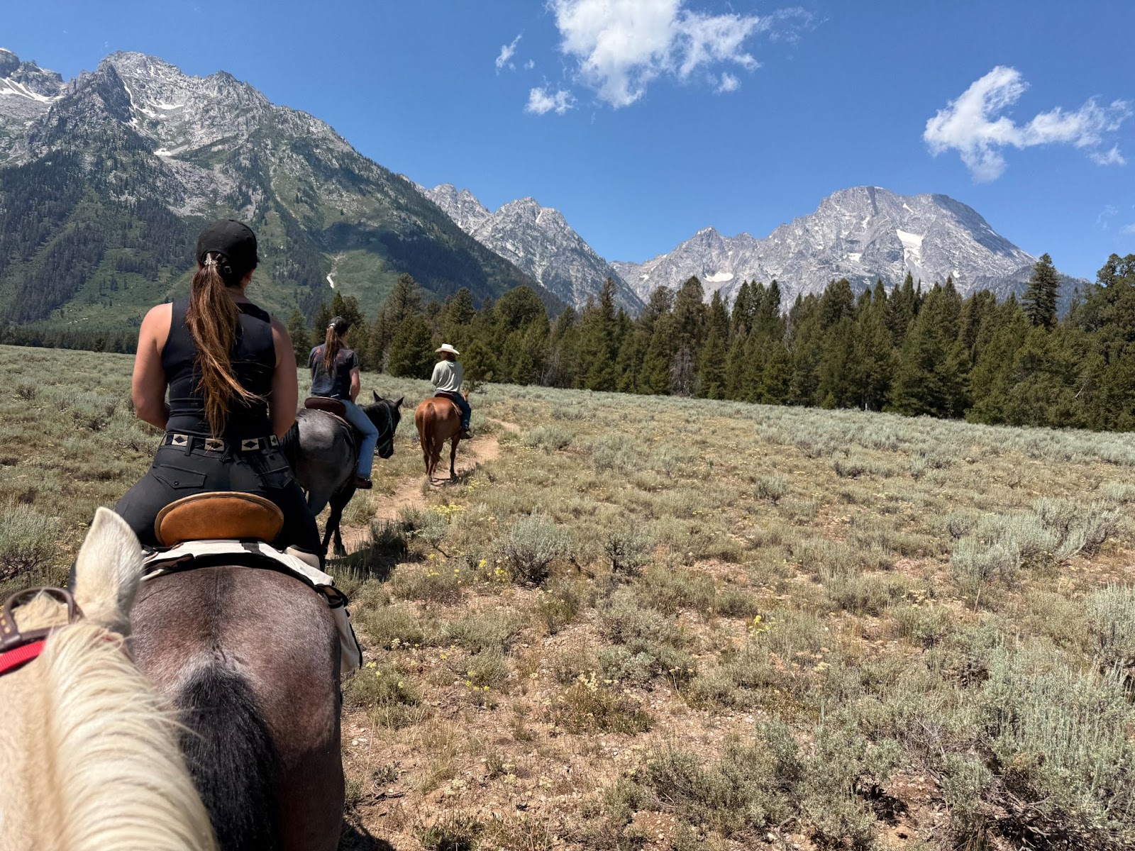 Horse riding through Grand Tetons National Park