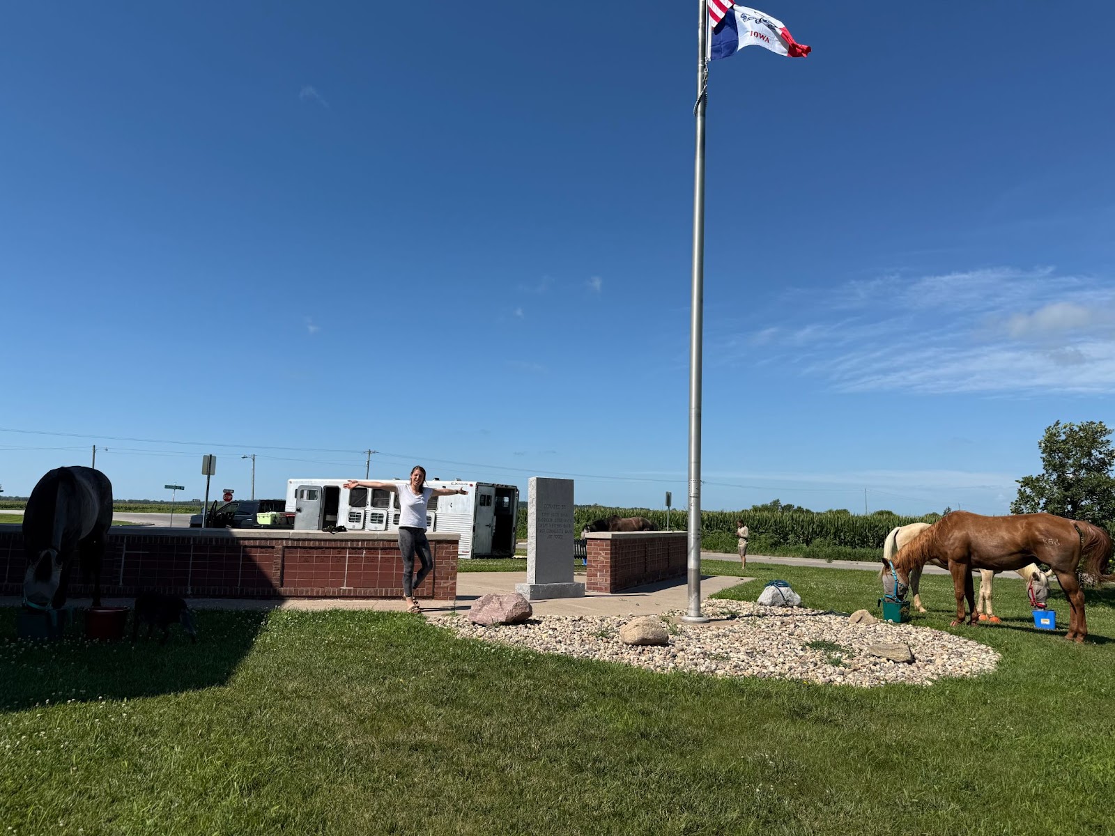 Horses eating on a grass field in front of a horse truck