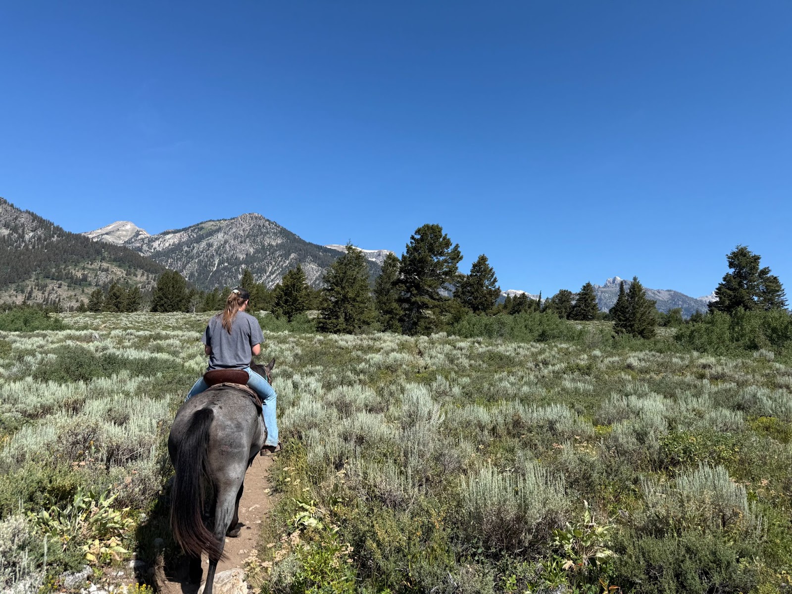 Riding horses through the Grand Tetons National Park