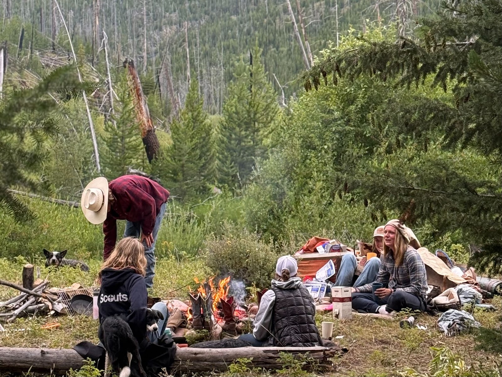 Girls drinking wine and boys chopping wood for the fire in the forest