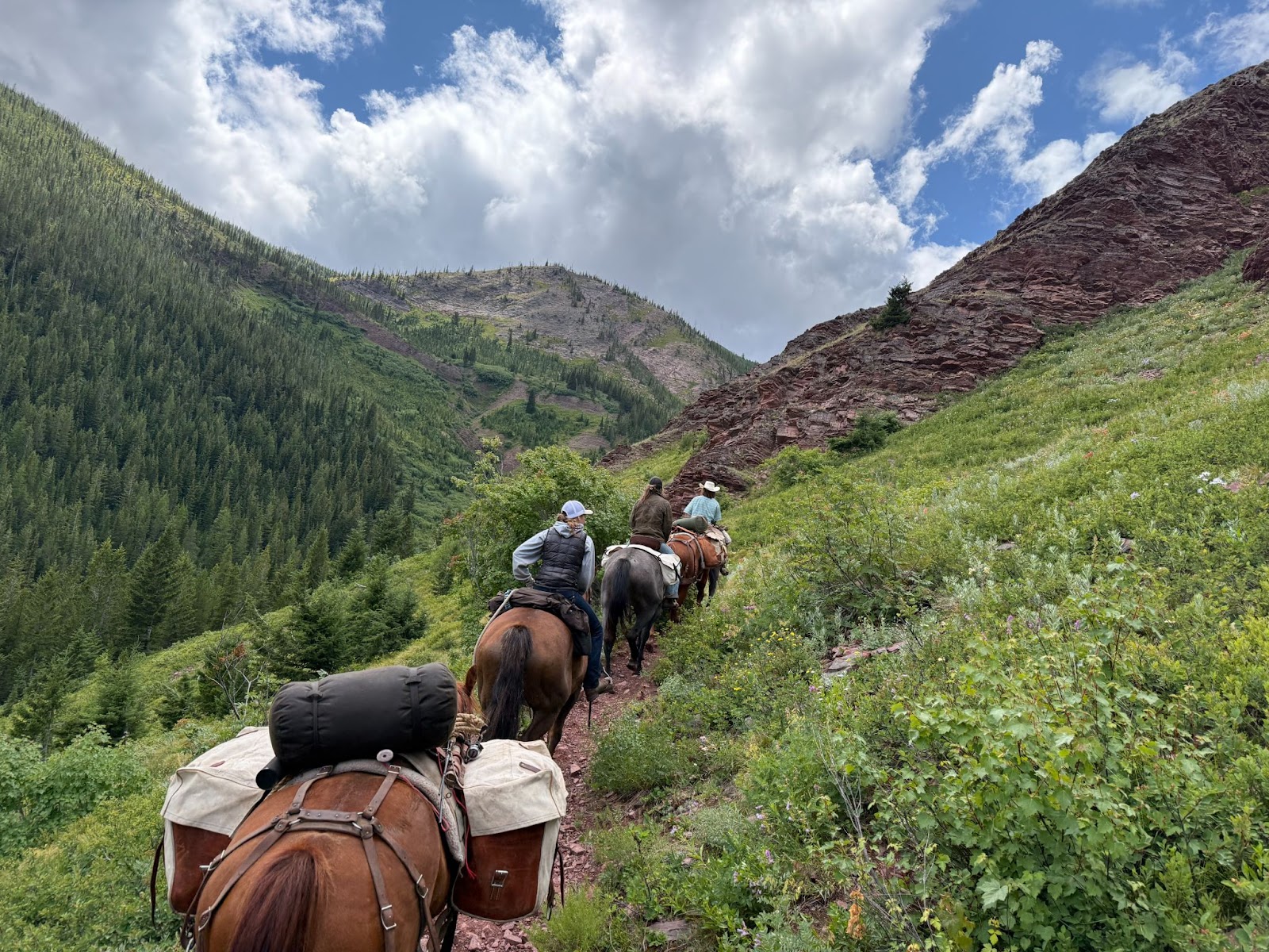 Horses riding on a trail surrounded by green fields, trees and mountains