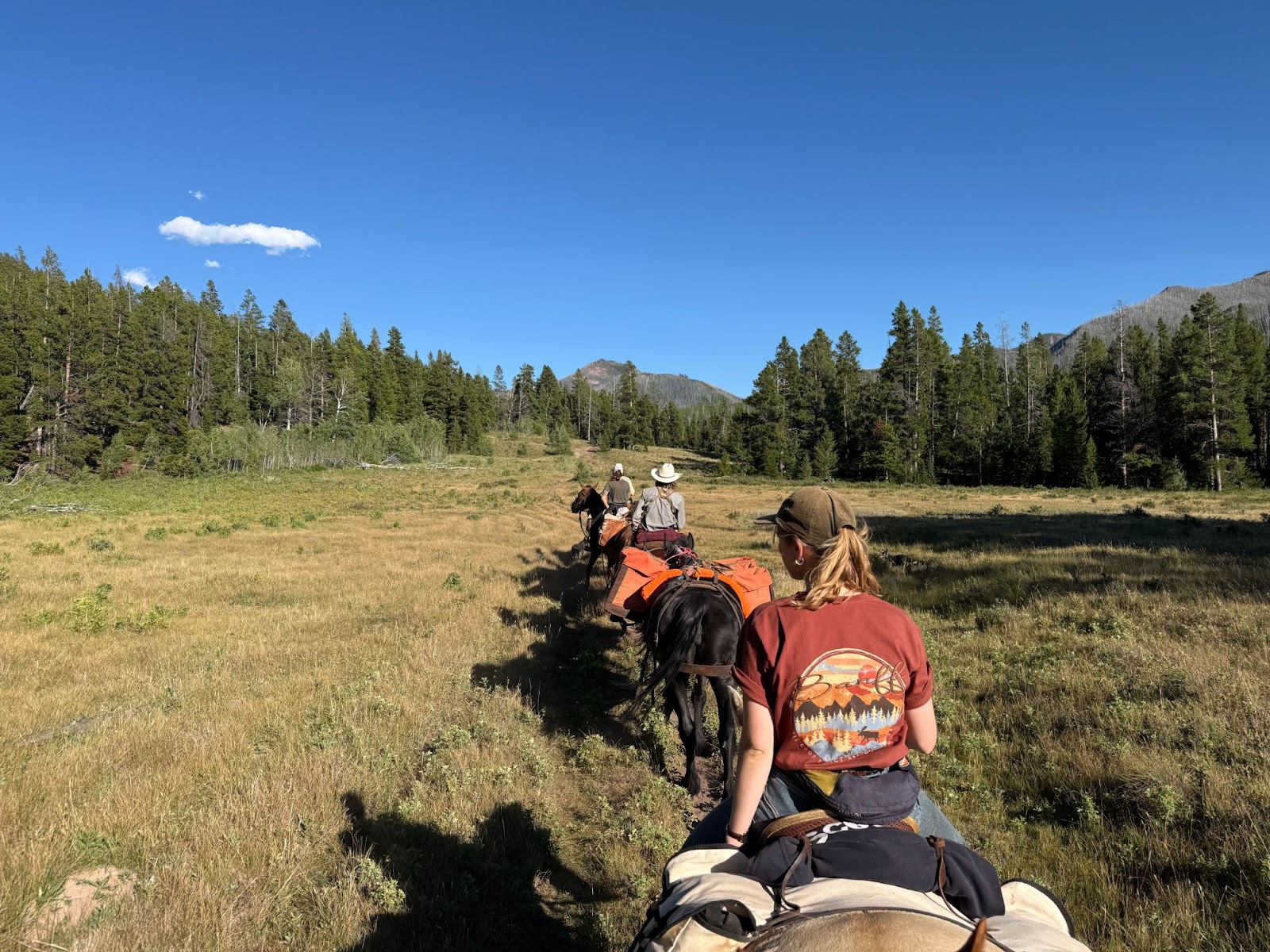 A group of horses with riders on a trail leading through open valleys and meadows with beautiful views of the area