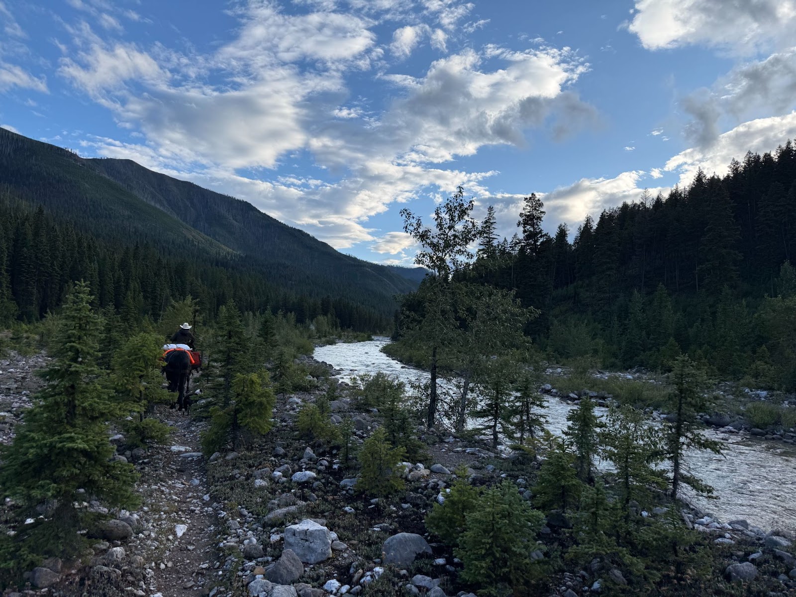 Horses trail riding at sunset next to a river in the mountainst