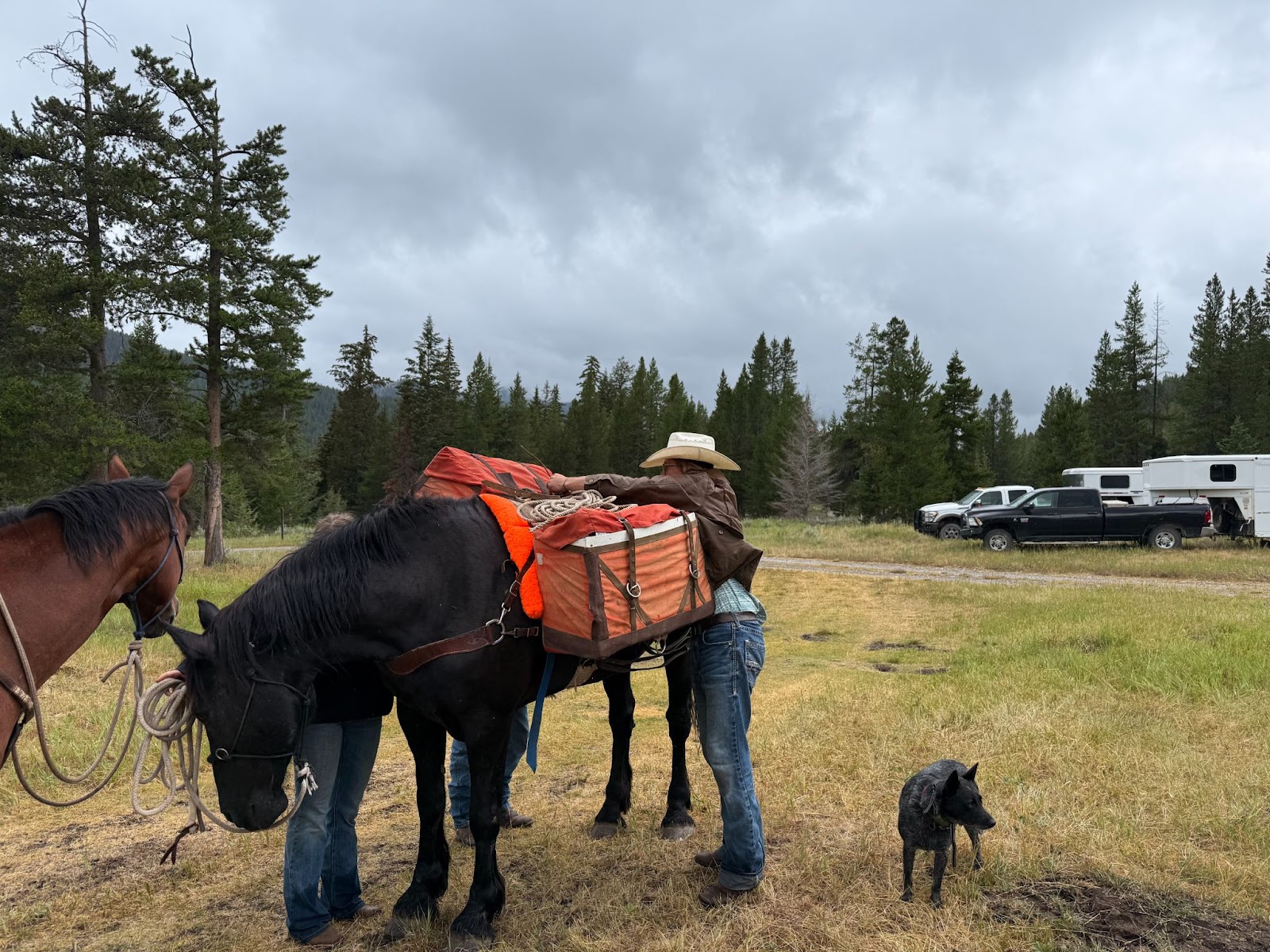 Cowboy loading up pack horse at a parking lot in the mountains surrounded by forrest and mountains