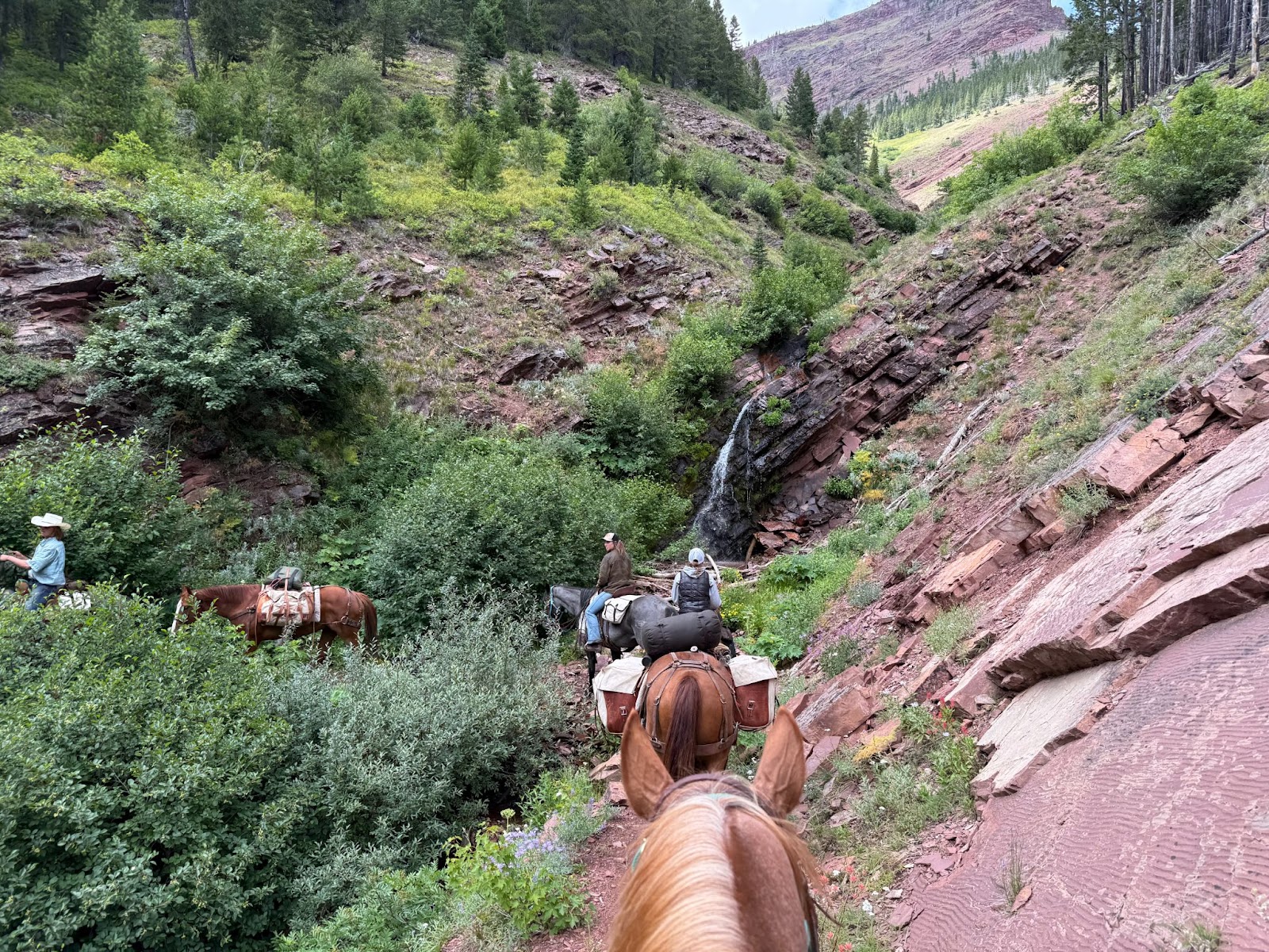 Group of horses and riders on a trail ride in the mountains walking towards a waterfall