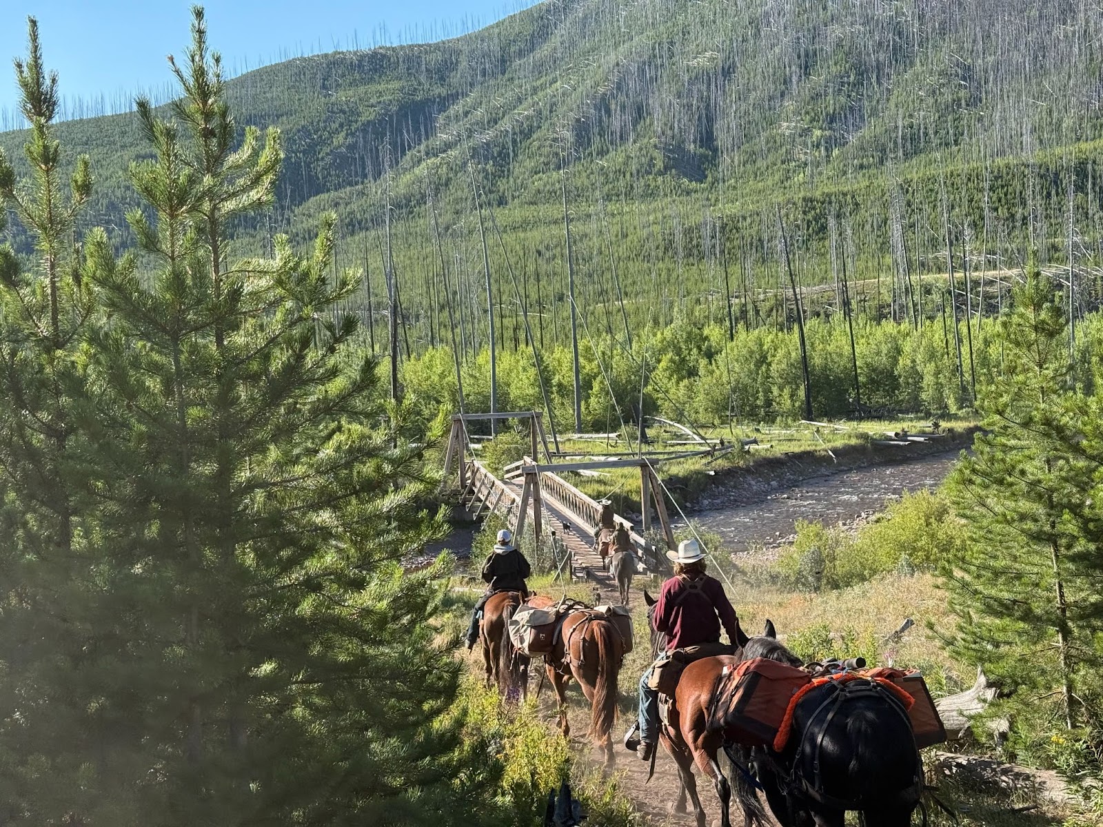 Horses, riders and packhorses riding on a trail towards a bridge over a river surrounded by green hills on a sunny day