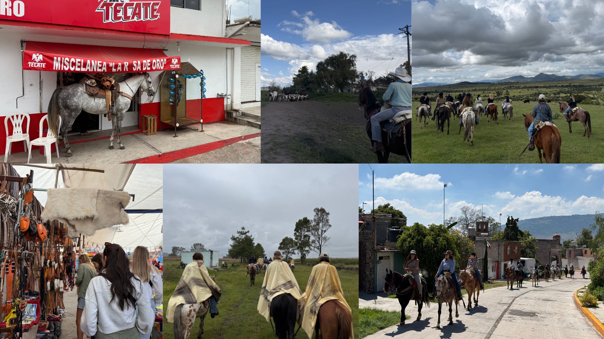 Collage of horseback riding trip in Mexico 