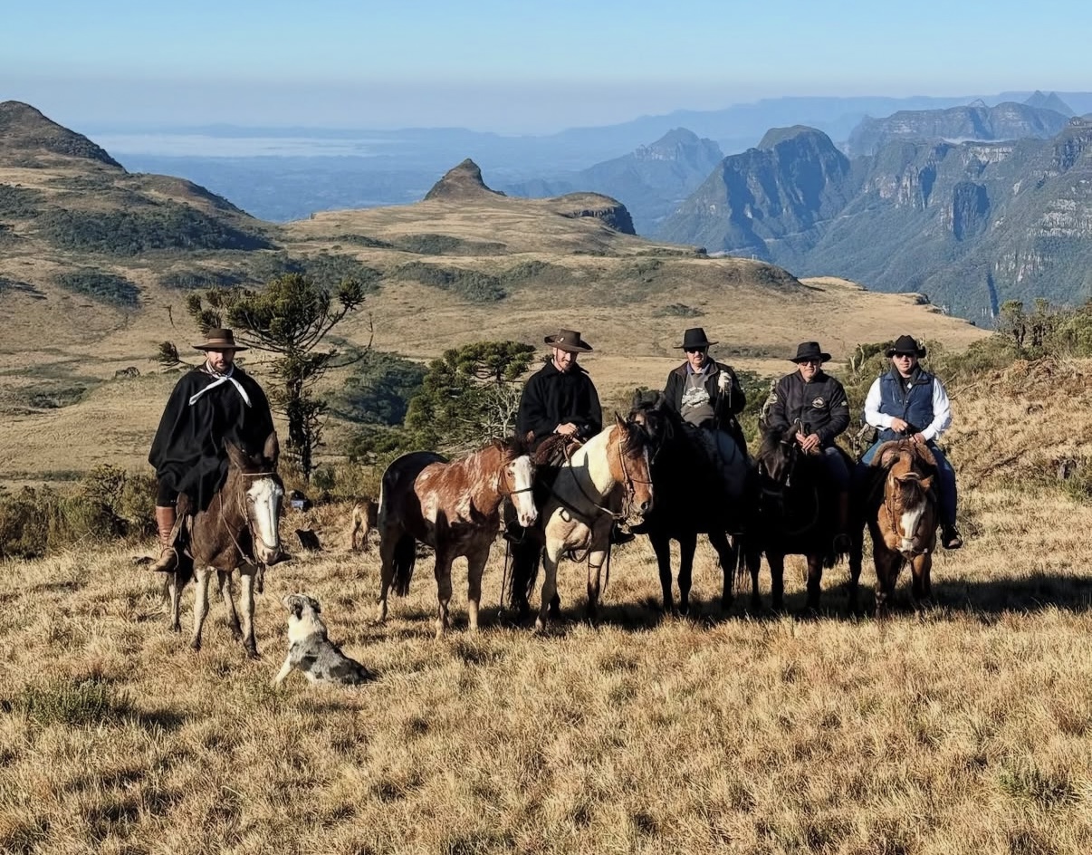 Group of gauchos on horses and mules on a mountain in front of view on a sunny day