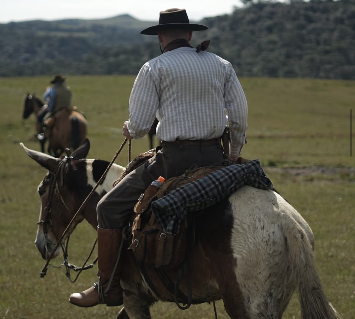 Gaucho riding pinto mule through grass fields