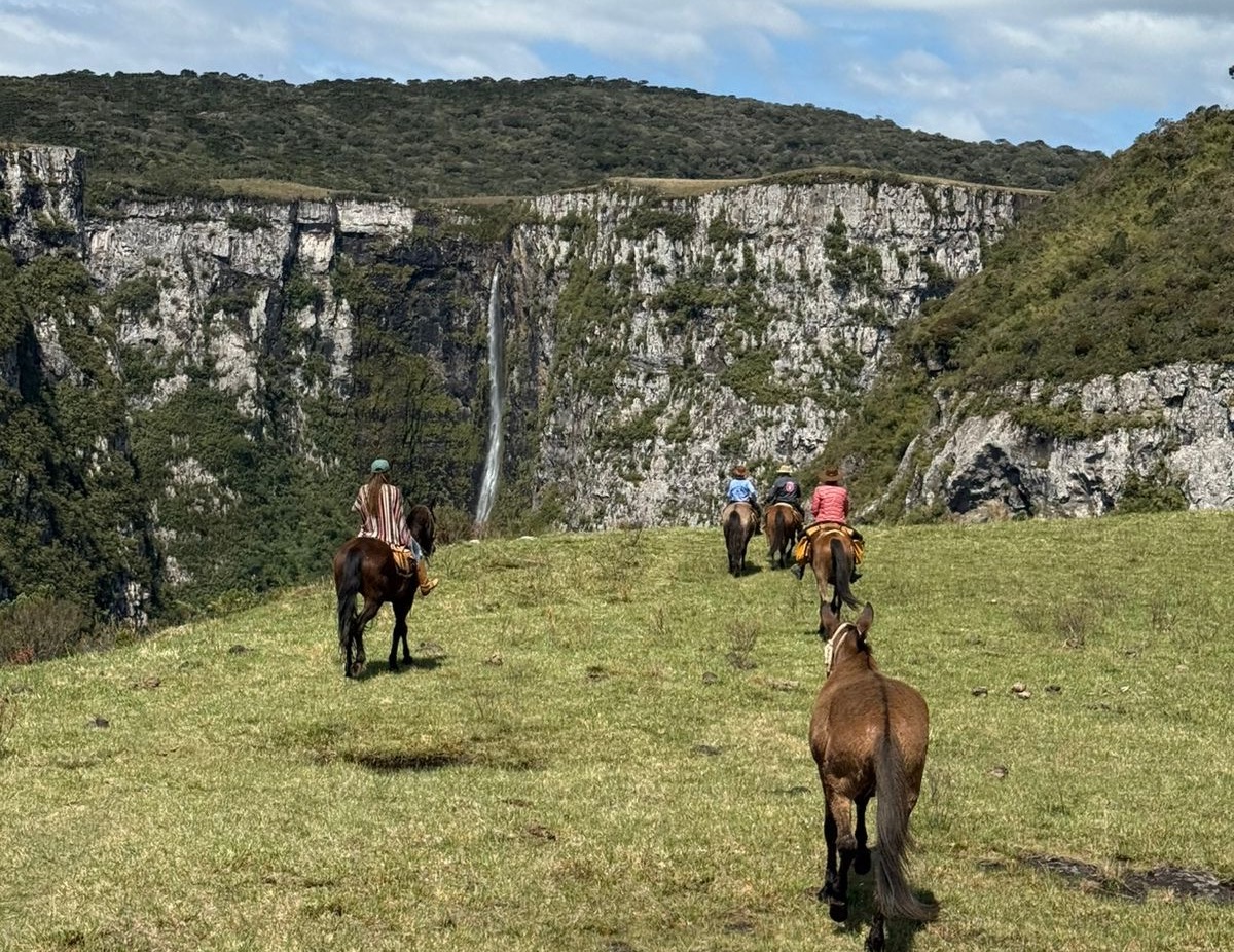 Riders on mules and horses riding towards a waterfall