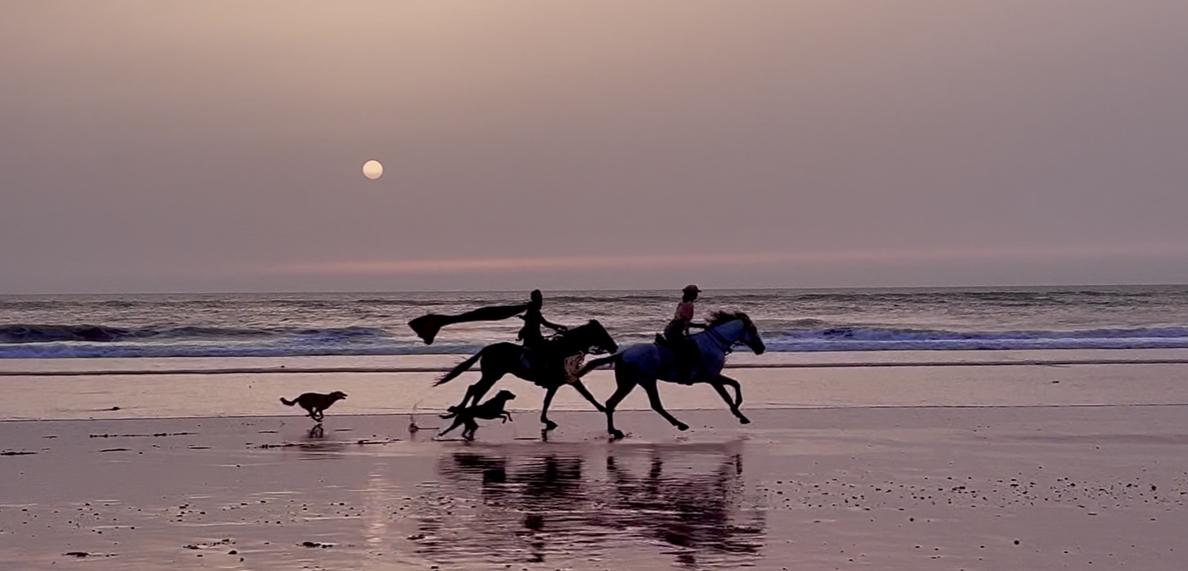 Horses galloping on the beach at sunset