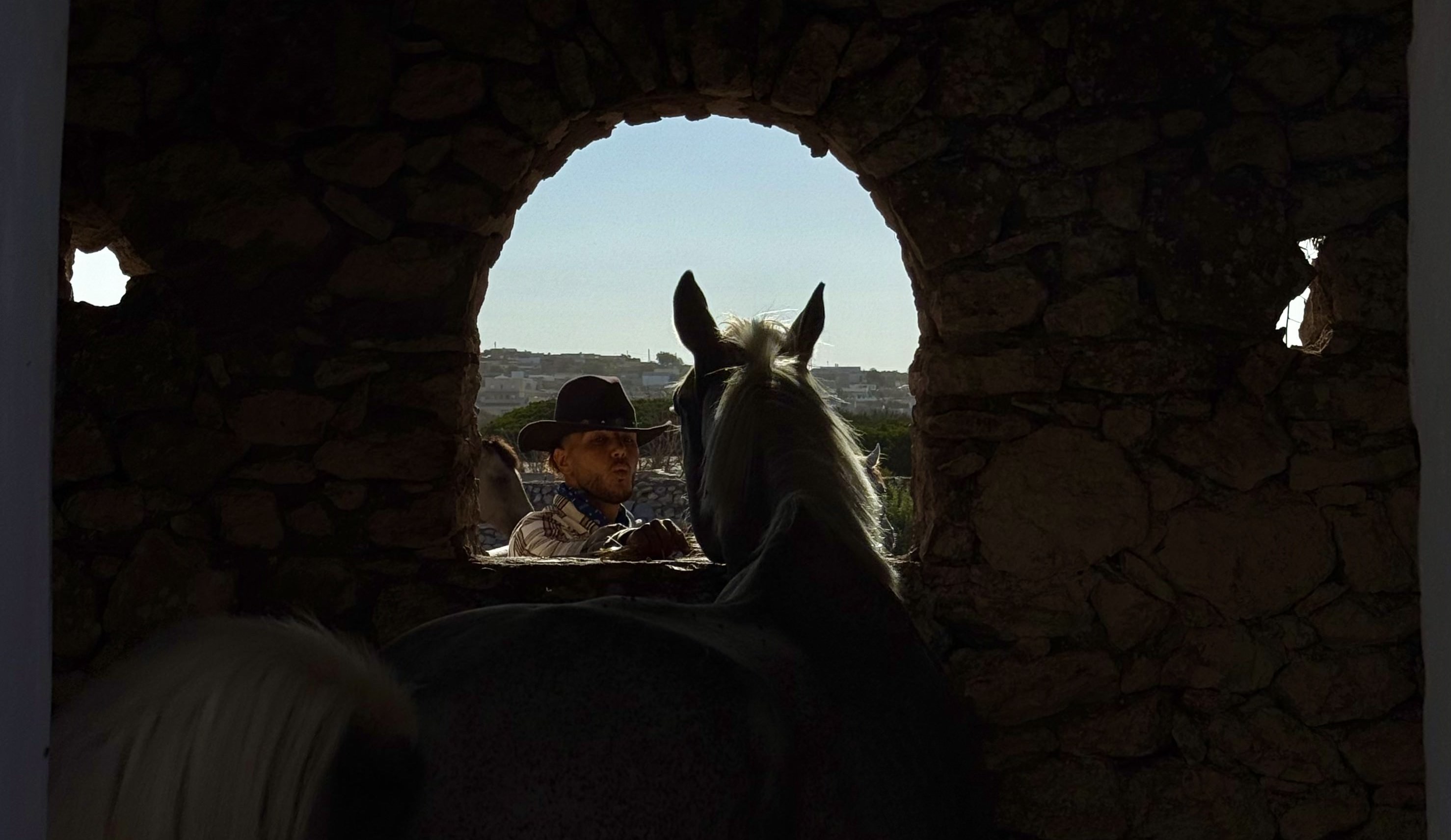 Grey horse in stable with his owner