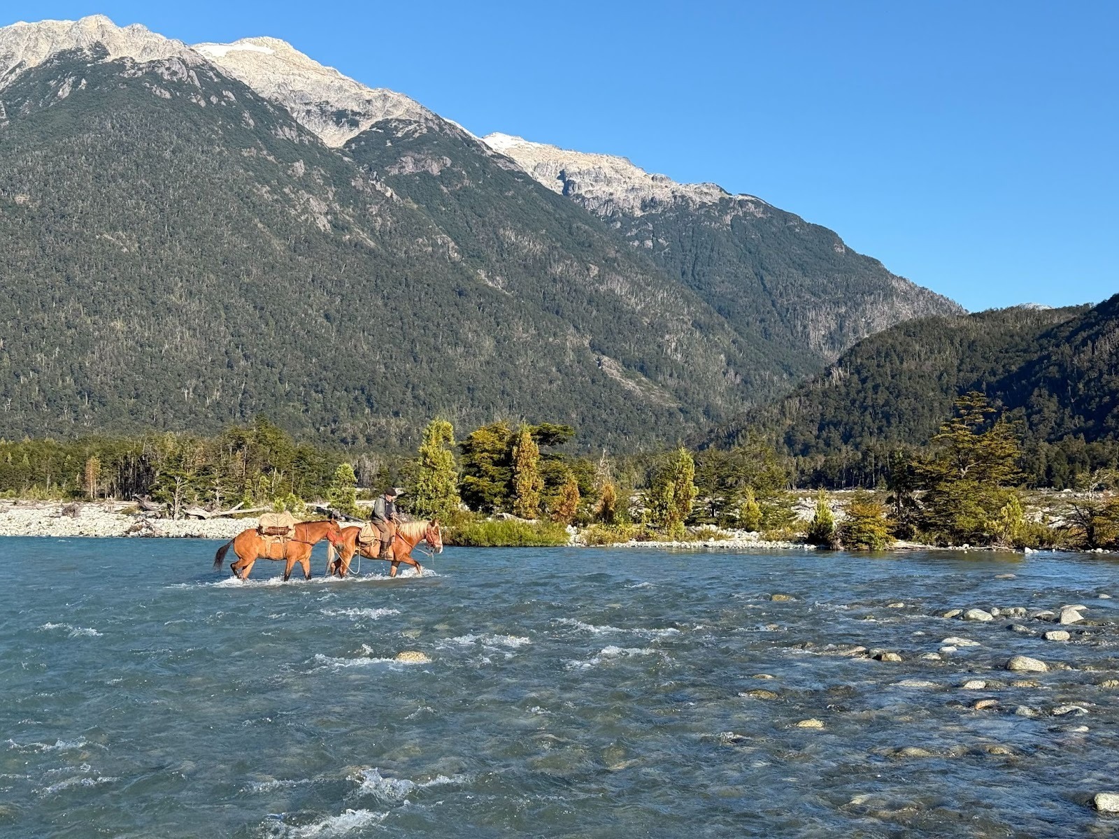 Gaucho on horseback leading a packhorse through a river in front of the mountains